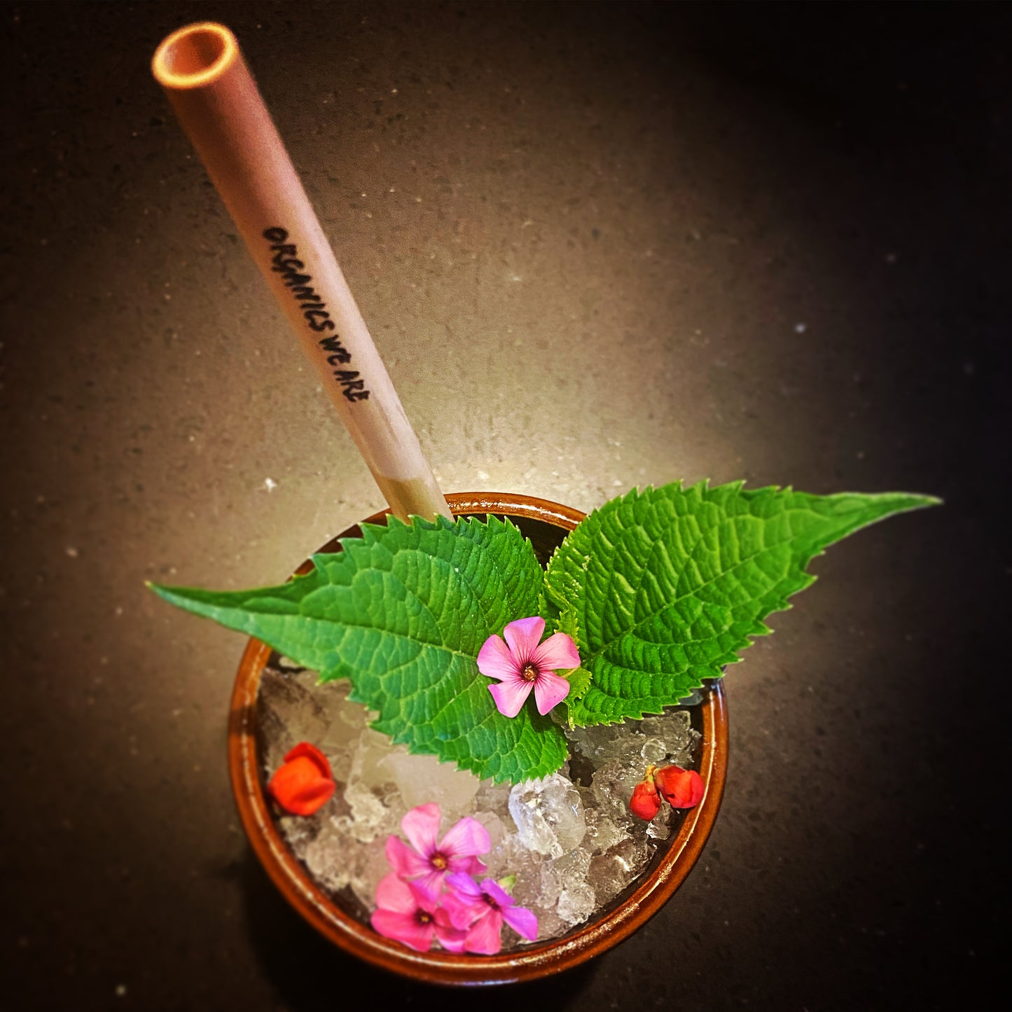 Pailles en Bambou Organics We Are