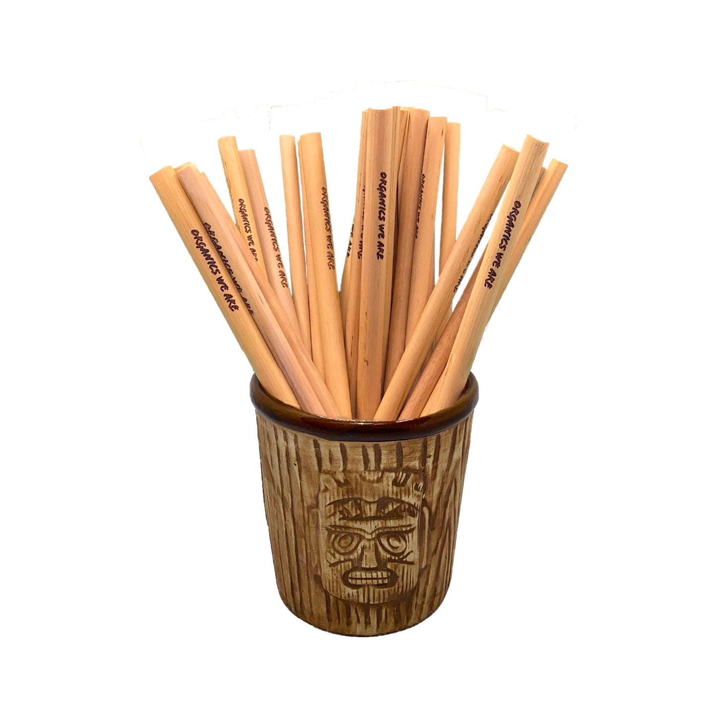 Pailles en Bambou Organics We Are