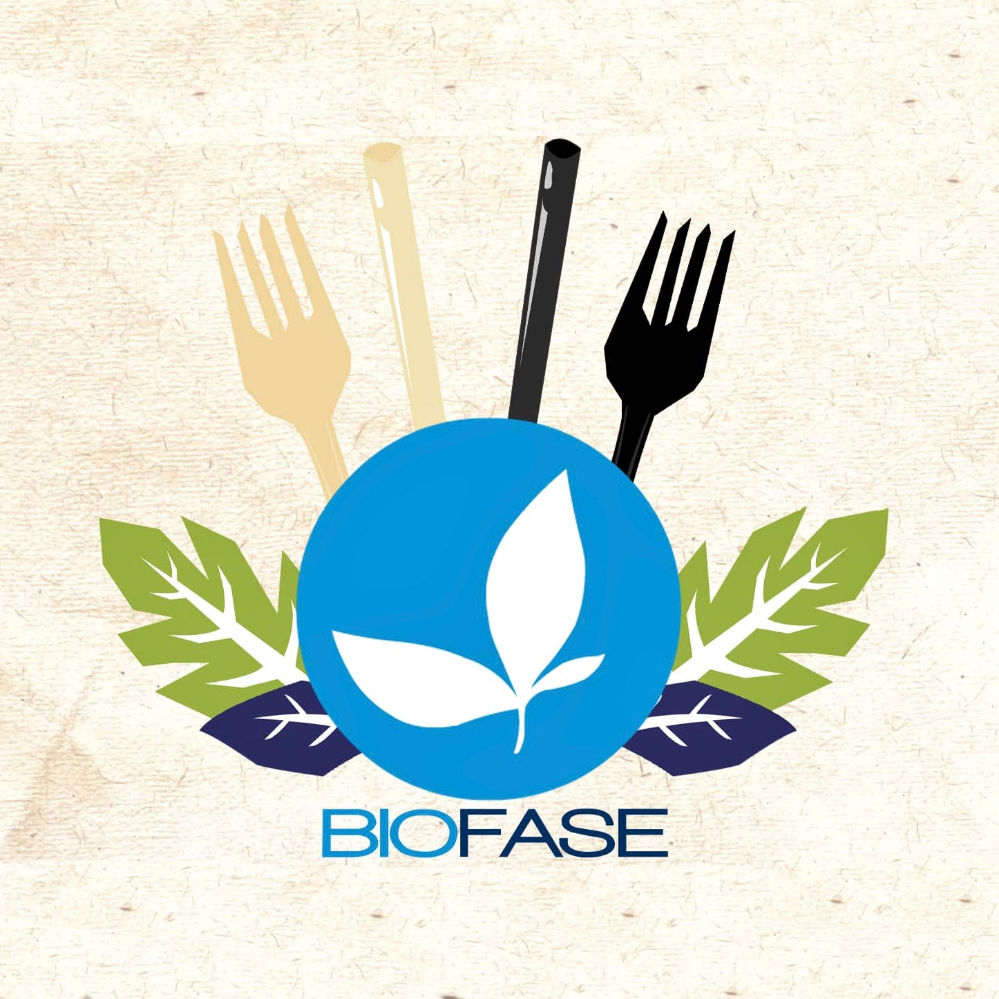 Biofase Pailles en noyaux d’avocat