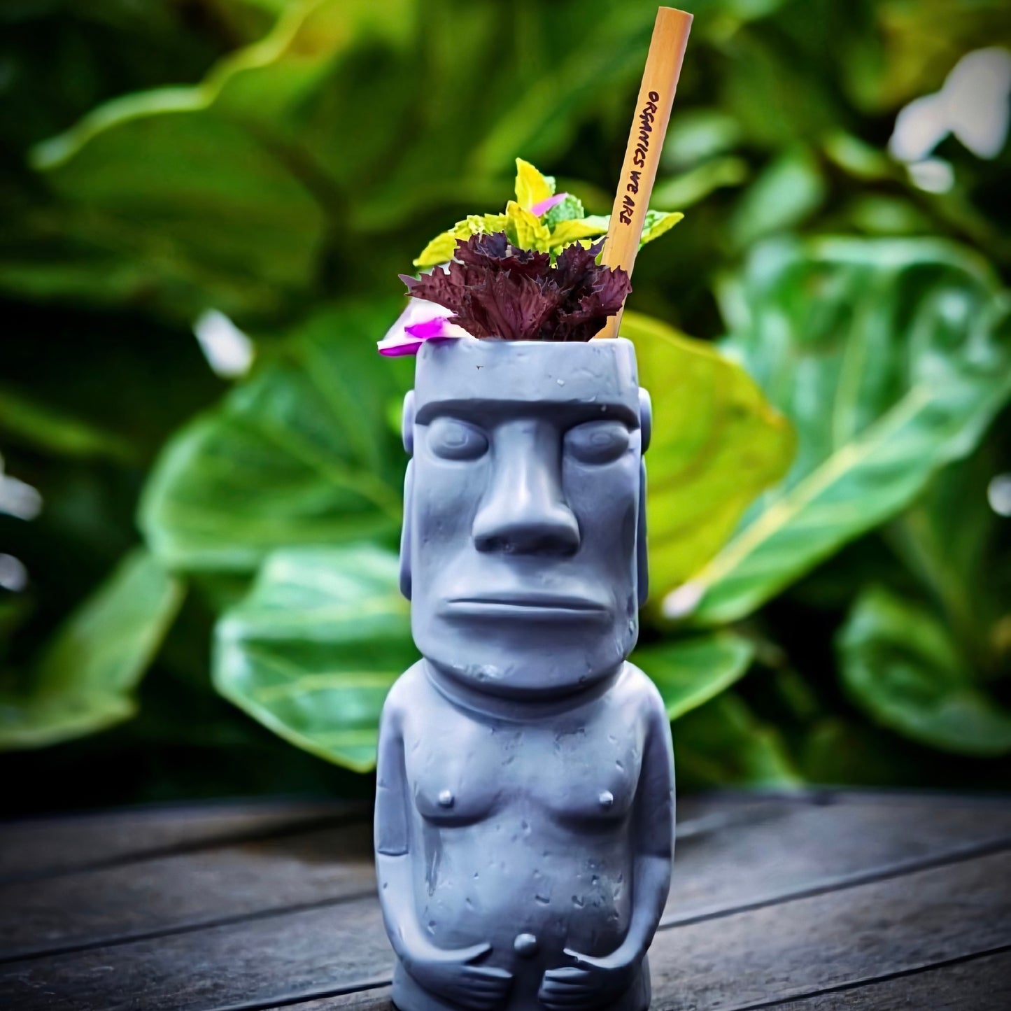 Pailles en Bambou Organics We Are