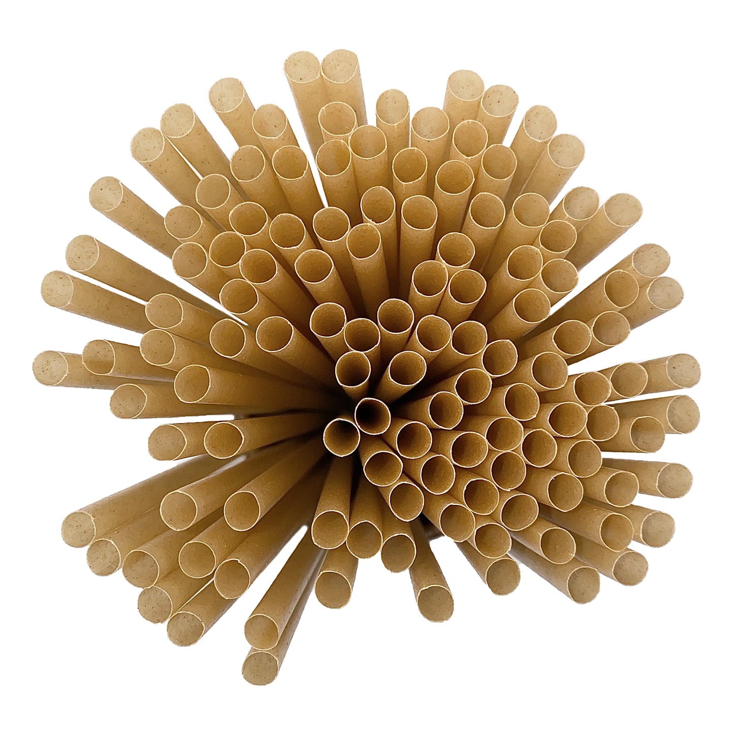 Sugar Cane Straws 20cm x Ø 6mm